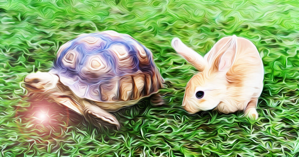Who Wins the SEO Race? The Tortoise or Hare
